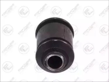 FZ9349 FORTUNE LINE