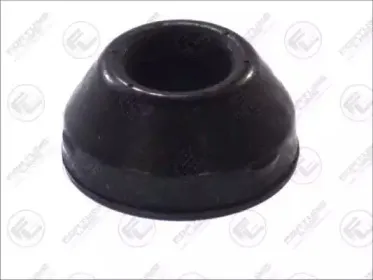 FZ9359 FORTUNE LINE
