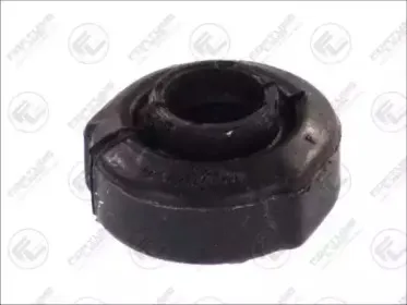 FZ9376 FORTUNE LINE