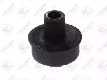 FZ9443 FORTUNE LINE