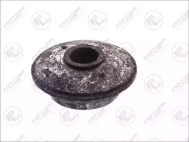 FZ9579 FORTUNE LINE