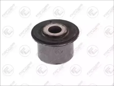 FZ9608 FORTUNE LINE