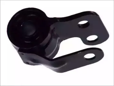 FZ9668 FORTUNE LINE