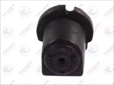 FZ9679 FORTUNE LINE