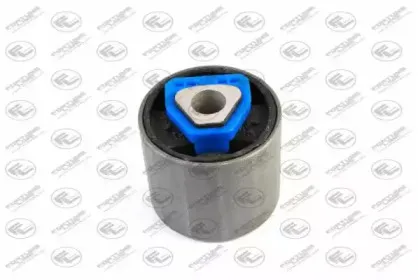 FZ9688 FORTUNE LINE