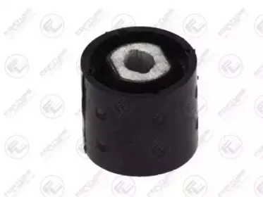 FZ9722 FORTUNE LINE