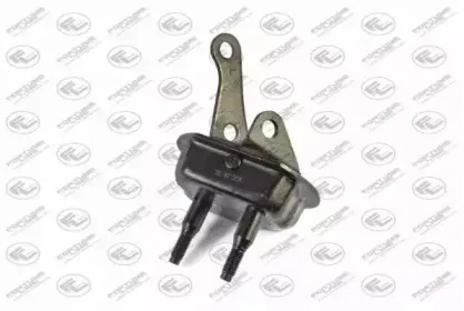FZ9788 FORTUNE LINE