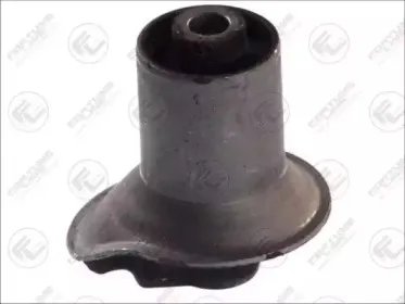 FZ9796 FORTUNE LINE
