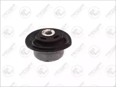 FZ9798 FORTUNE LINE