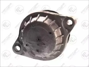 FZ9872 FORTUNE LINE