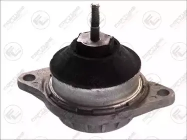FZ9876 FORTUNE LINE