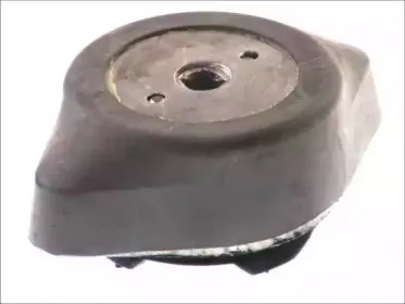 FZ9933 FORTUNE LINE