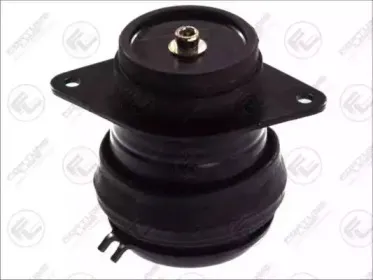 FZ9945 FORTUNE LINE