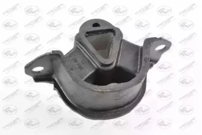 FZ9961 FORTUNE LINE