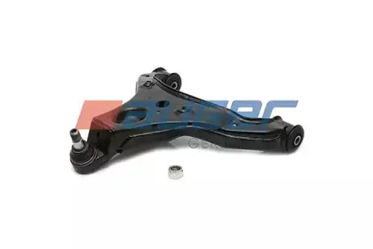 auger-10784