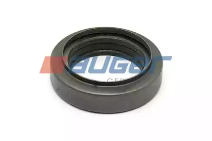 54813 AUGER Подшипник, шейка оси