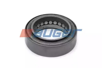 auger-54826