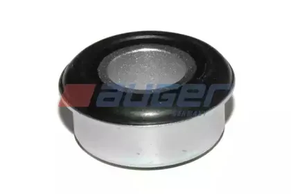 55481 AUGER
