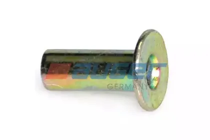 55605 AUGER Заклепка, накладки барабанного тормоза