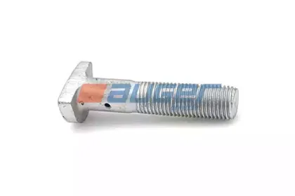 auger-65549