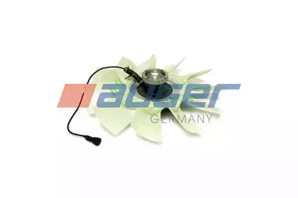 auger-78244