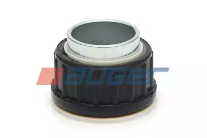 auger-79041