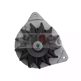 lauber-110560