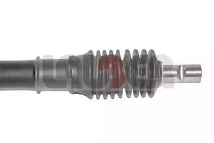 lauber-690366