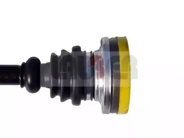 lauber-880118