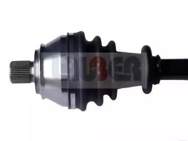lauber-880119