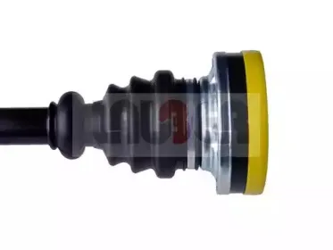 lauber-880119