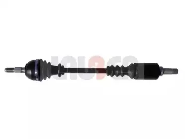 lauber-880128