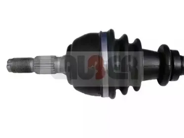 lauber-880148