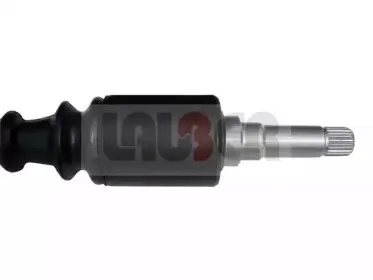 lauber-880148