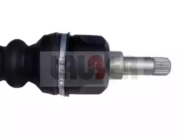 lauber-880157