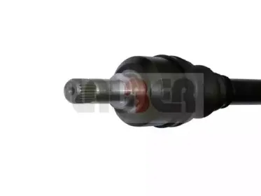 lauber-880163