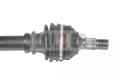lauber-880166