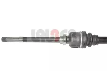 lauber-880166