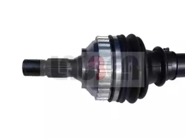 lauber-880168