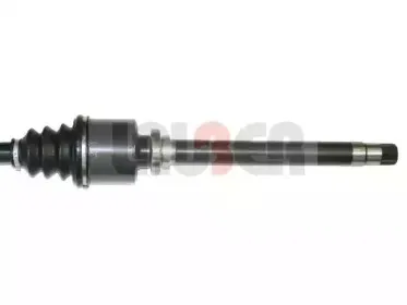 lauber-880249