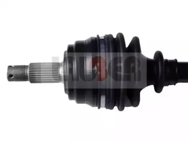 lauber-880258