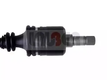 lauber-880258