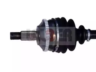 lauber-880261