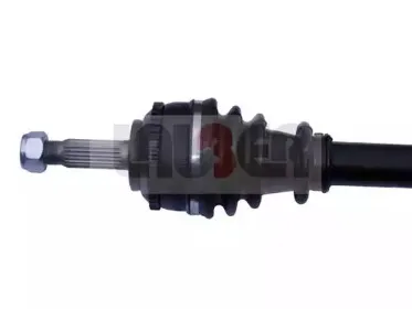 lauber-880262