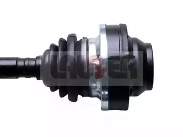 lauber-880280