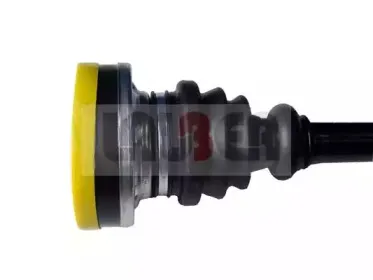 lauber-880294