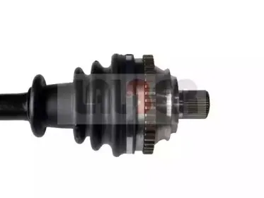 lauber-880294