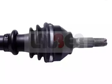 lauber-880296