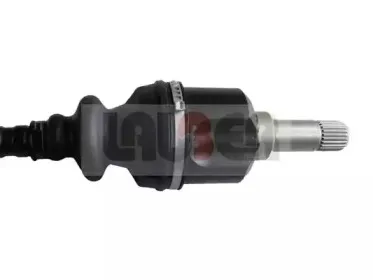 lauber-880337