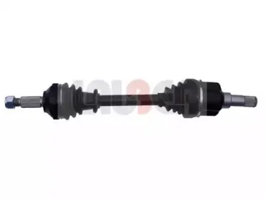 lauber-880365